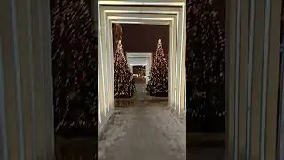 Happy New Year 2023!!! Moscow #respect #shorts
