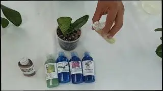 USO DE BOTIQUÍN DE CUIDADOS DE ORQUÍDEAS INVITROORQUID®️.