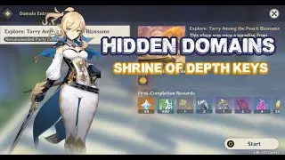 Genshin Impact - Hidden Domains! Get Your Missing Shrine of Depth Keys! Finish Chapter 8