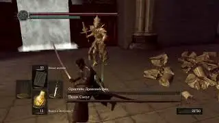 Не, ну тупа красивки (Ornstein and Smough, No Damage, NG+7)