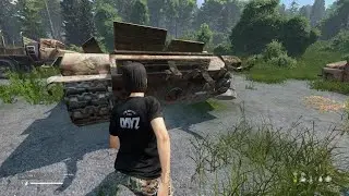 DayZ revenge