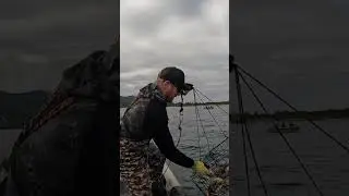 That's A Ton of CRABS for Summer Crabbing 
