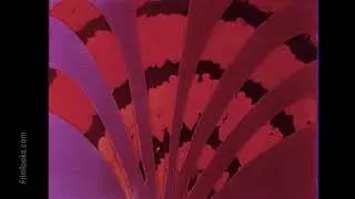 Drive-In Snipe - Vintage Intermission - 16mm Film Look - (57)