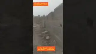 Стоп!!! занг назанед