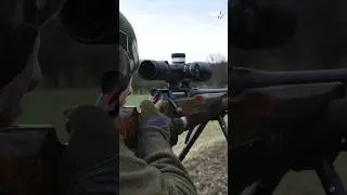 SAUER 505 ErgoLux and the BLASER Scope Saddle Mounting system. 