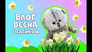 ВЛОГ С БАСИКОМ / Басики весной / ГУЛЯЕМ С БАСИКОМ / Басик объелся пиццы