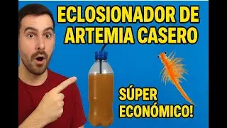 Eclosionador de ARTEMIA CASERO 🦐. MUY ECONÓMICO 💶