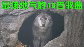 最接地气的10首歌曲排行榜，我想第1位大家应该都能猜到是啥歌了