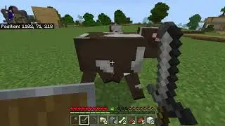 Day 3.5?!?!?! PART ONE | BIGALEX SURVIVAL SMP