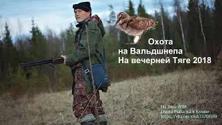 Охота в Кушве - Охота на Вальдшнепа Тяга 2018