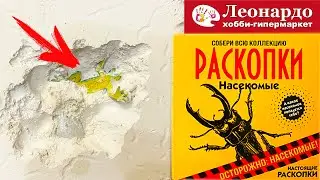 РАСКОПАЛИ ДИНОЗАВРОВ и СОКРОВИЩА ! ОБЗОР НАБОРОВ РАСКОПКИ ИЗ ЛЕОНАРДО