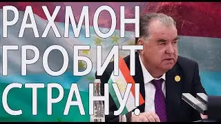 «Утечка мозгов» нанесла ущерб экономике Таджикистана в размере около $80 млрд