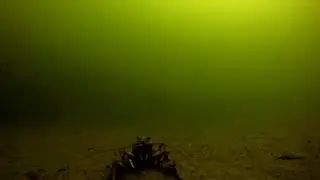 Там где раки зимуют!