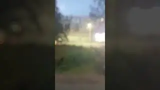 Троллейбус номер 501 маршрут 3