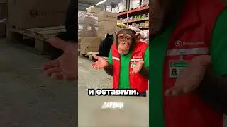 Она продаёт рыбов