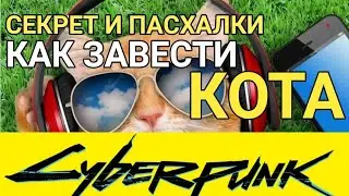 Кот в Киберпанк 2077. Как найти, накормить и завести кота?