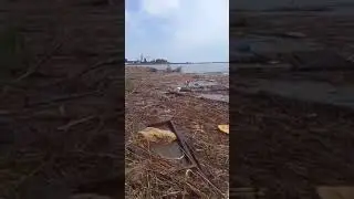 Собака сотню километров несло в море после подрыва Каховской ГЭС. 9.06.2023