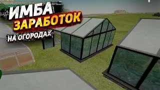 ОБНОВЛЕНИЕ 6.3. ЛУЧШИЙ ЗАРАБОТОК. ТАБЛИЦА ОГОРОДОВ. РАДМИП РП / ХАССЛ ОНЛАЙН