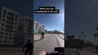 Metalheads in the Wild #metal