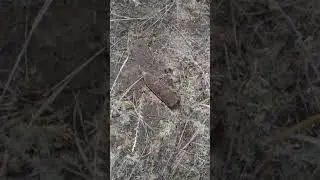 Дон. Ещё следы войны.