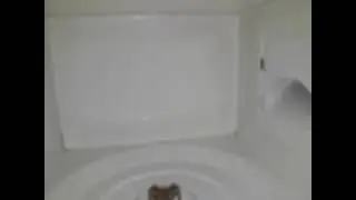 Vídeo 1- Micro-ondas centelhando na cavidade