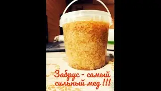 Забрус - самый сильный мед !