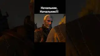 начальник, начальник это ведьмак 🤣😁#thewitcher #thewitcher3