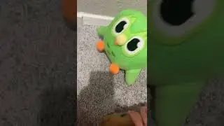 EZ