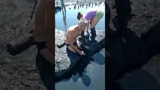 Лечебные грязи,третий месяц после инсульта