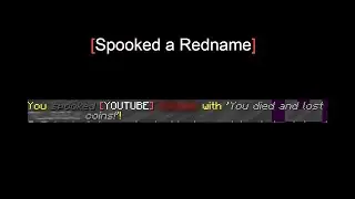 I spooked a youtuber (hypixel skyblock)