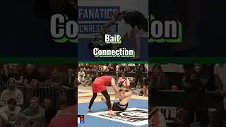 Bait Connection 