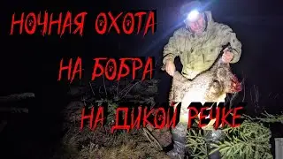 Ночная охота на бобра на дикой речке