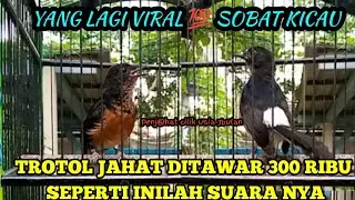 MANTAP‼️TROTOL JAH4T MEDAN SUPER MERANGS4NG TROTOL BAHAN JADI GACOR ...