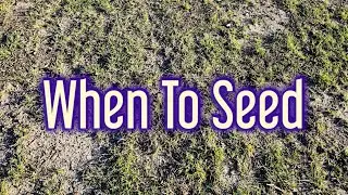 When Should You Seed A Spring Lawn - Best Time Is...