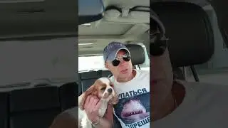 Анекдот. Хорошие слова...