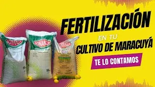 Fertilización en el cultivo de maracuyá