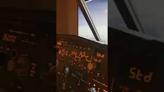 Flight sim flying#planes #flightsimulator #aviation #flightsim #a320