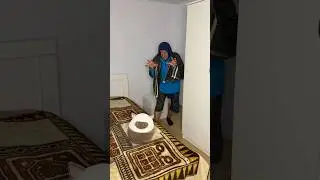 Cat thief almost stole a cat 