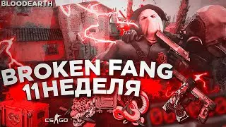 НОВАЯ ОПЕРАЦИЯ В CS:GO - СЛОМАННЫЙ КЛЫК | ВРЕМЯ ПОСТРЕЛЯТЬ | ОДИННАДЦАТАЯ НЕДЕЛЯ | BROKEN FANG