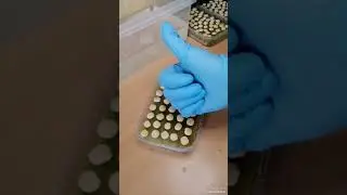 Это можно есть? Люпин БЕЛЫЙ? МОЖНО! Сеем на микрозелень! Идеально для декора блюд ресторанов и кафе!