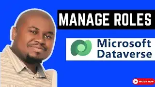 How to Update SECURITY ROLES in Power Platform Admin Center (Tutorial)
