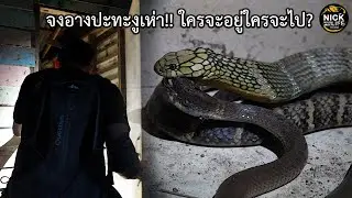 ลุยดิบ EP.132 จงอางปะทะงูเห่า!! ใครจะอยู่ใครจะไป?