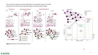 Metabolomics studies to elucidate the biochemistry underlying the effects of biostimulants on maize