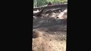 At the zoo!!! I'm sorry it is short!