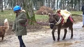 L'IME de Vincelles sur douzein en 2018