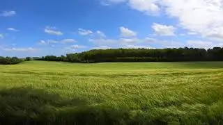 Soothing Breeze // White Noise For Relaxation and to sleep better. Nature sounds to Relief Stress