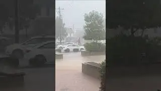 Afternoon summer rain in Greenville, South Carolina