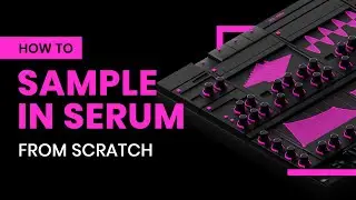 How To Sample In Serum From Scratch