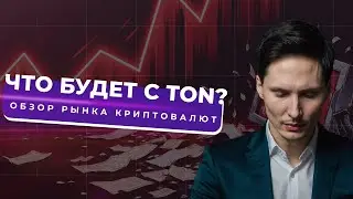 СКАМ TON после ареста Дурова? Готовый бот для трейдинга DOGS!