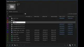 Creating bins in the project panel